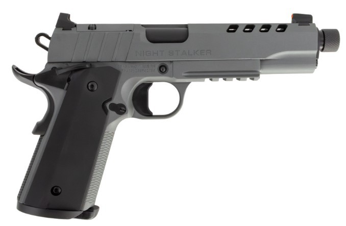 TISAS 1911 10MM N STALKER SF - Taurus Savings